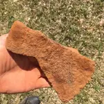 Lee County Georgia 2019 (3).webp
