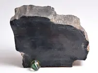 pet wood11a.webp pet wood11a.webp