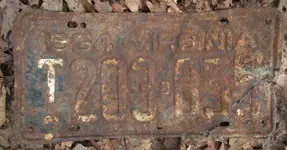 64 virginia plate.webp