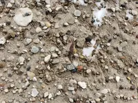 20190308_122401.webp