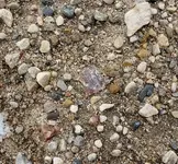 20190308_171938.webp
