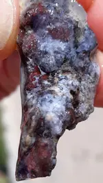 20190323_103122~2.webp