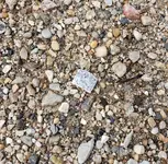 20190308_172205.webp