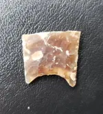 20190308_155528.webp