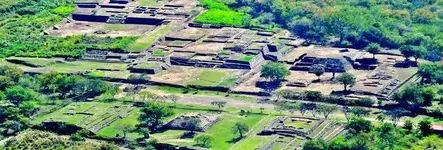Colima Mexico.webp