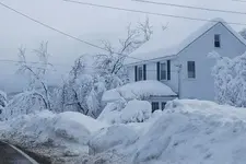 snowstorm.webp