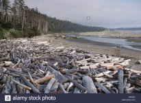 driftwood-long-beach-vancouver-island-canada-A4K2E5.jpg