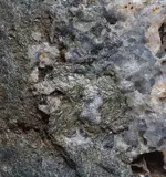 mica on green rockA.webp