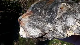 20190204_142705.webp