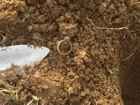 Silver Ring - 20190217 - In the Hole.webp