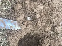 Mercury Dime - 20190217 - In the Hole.webp