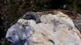 20190204_142637.webp