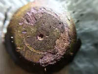 Mystery Item LM X Brass (2).webp