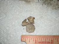 thumbnail_IMG_20190216_171430.webp thumbnail_IMG_20190216_171430.webp