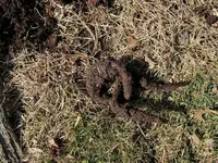 thumbnail_IMG_20190216_130111.webp