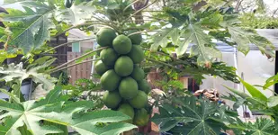 20190315_150814.webp 20190315_150814.webp