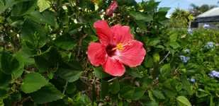20190315_150840.webp 20190315_150840.webp