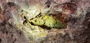 20190209_110133.webp