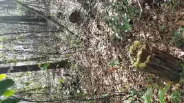 20190323_100849.webp