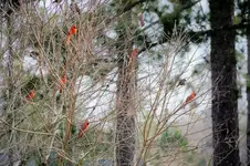 DSC_0010a.webp
