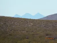 2242019 001.webp