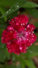 Screenshot_20190308-232650.webp