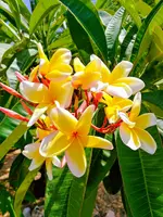 20180822_144736_HDR-EFFECTS.webp