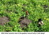 Median finds 003.webp