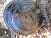 dietz1.webp