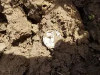 20190307_130033.webp
