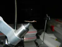 DSCN2164.webp