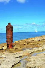shipwreck-cannon-on-the-beach-jason-waugh.webp