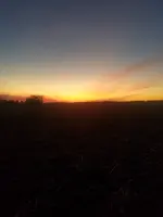 1549763002517.webp