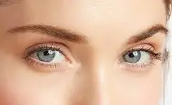 images.webp