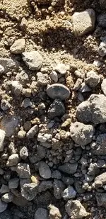 20190331_170037.webp
