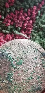 20190112_173703.webp