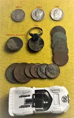 2-26-19 Finds.webp