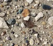 20190323_192537.webp