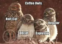 e42086dd38c483dbf731d0fcfe3fdab5.webp