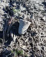 20190409_180014.webp