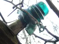 DSCF8137.webp