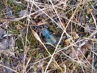 DSCF8910.webp