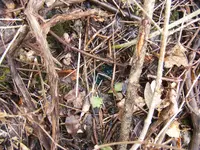 DSCF8948.webp