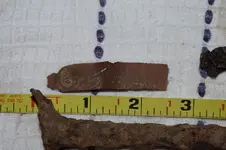copper-clip.webp copper-clip.webp