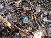 DSCF8959.webp