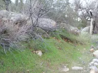 101_5117.webp