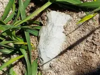 20190214_123918.webp