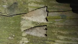 20190401_123541.webp