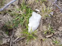 20190210_145738.webp