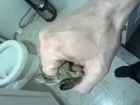 1552779660998-1800483757.webp